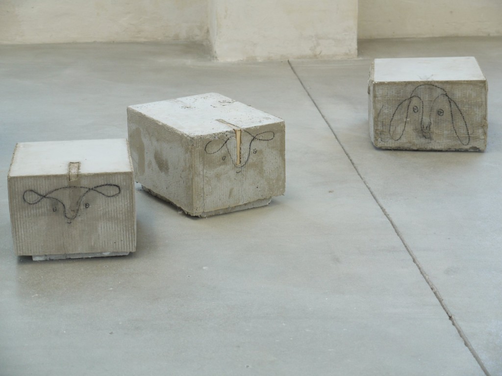 Bilder, Judith Hopf, 17.09.2013 009 a line may lie