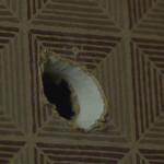 AR05