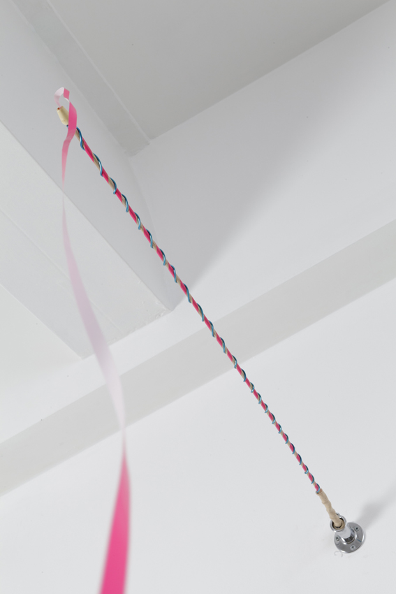JH2 Untitled (kleine peitsche, rosa, hellblau)
