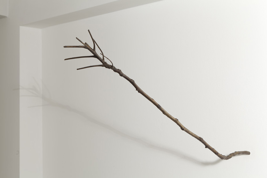JH3 dem kirschbaum ahnelnder essigbaumast (staghorn sumac branch resembling a cherry tree branch)