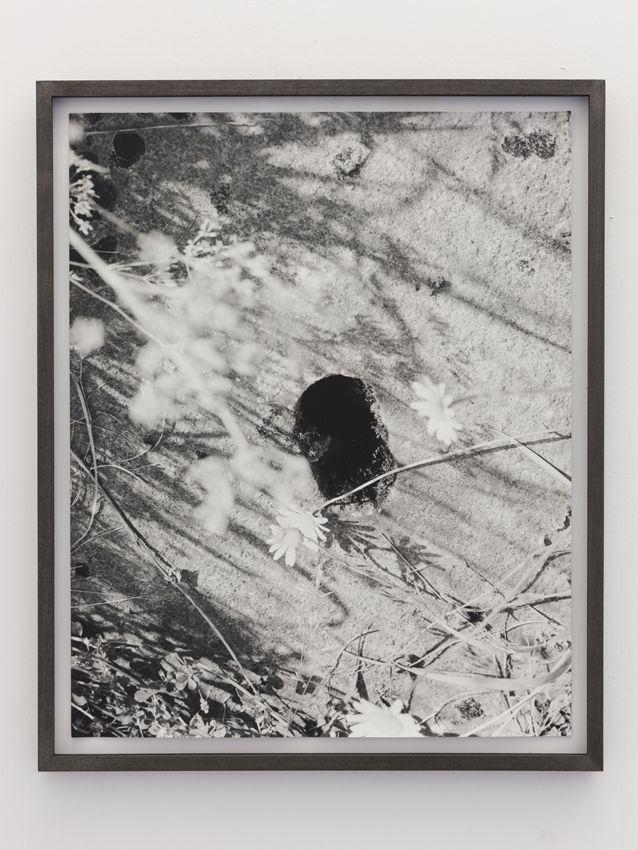 TC10 flowers/hole
