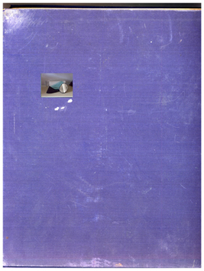 modUntitled (mirror, mirror) Marieta Chirulescu